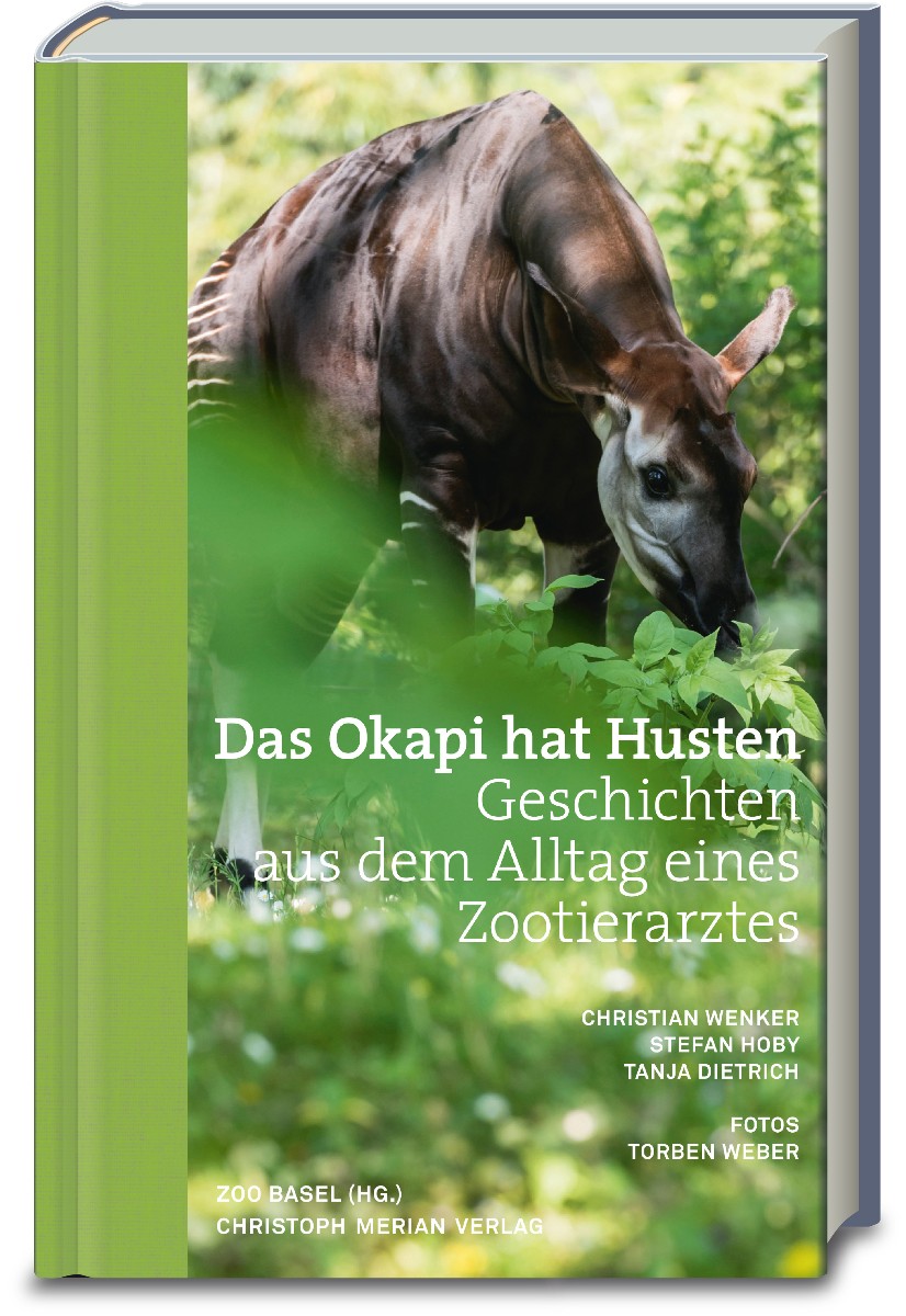 Das Okapi hat Husten