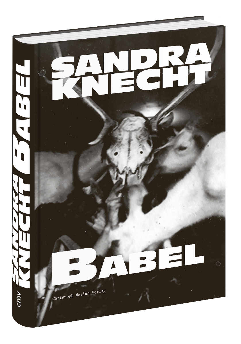 Sandra Knecht - Babel
