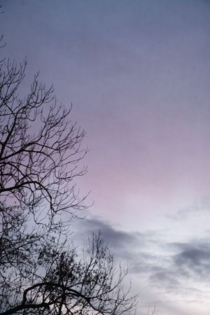 Bild5