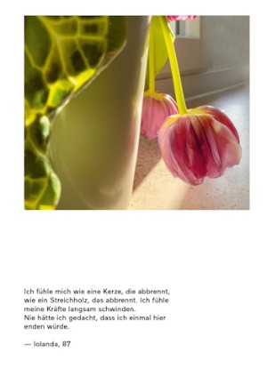 Bild4