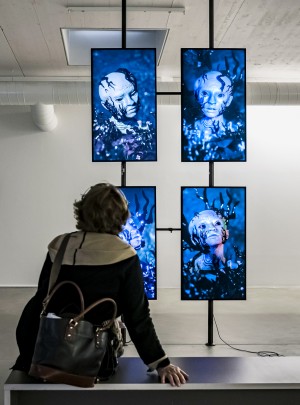 Bild2