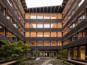 Bild6
