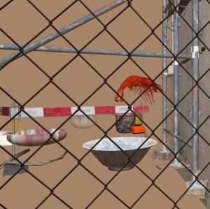 Bild11
