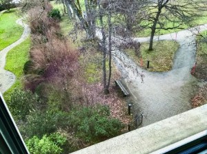 Bild8