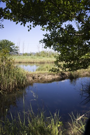 Bild4