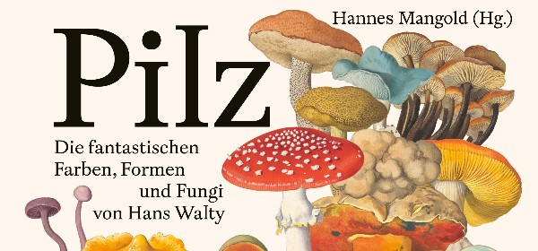 Pilzwerk