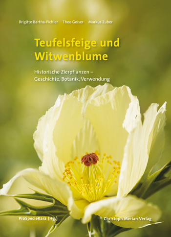Teufelsfeige und Witwenblume